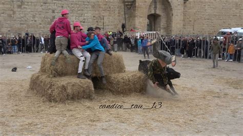 F Te D Hiver Aigues Mortes Ferrade Abrivado