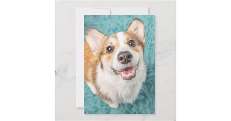 Cutest Baby Animals Cute Corgi Puppy Smile Thank You Card Zazzle