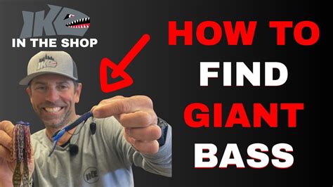 How To Find Giant Bass Guide Bass Manager The Best Bass Fishing