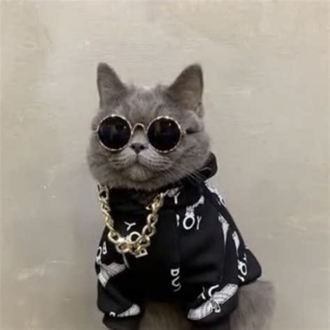 Mister Top Youtube