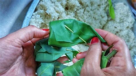 Cara Membungkus Tapai Pulut Dalam Daun Getah Jambu Laut Daun