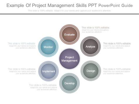 Example Of Project Management Skills Ppt Powerpoint Guide