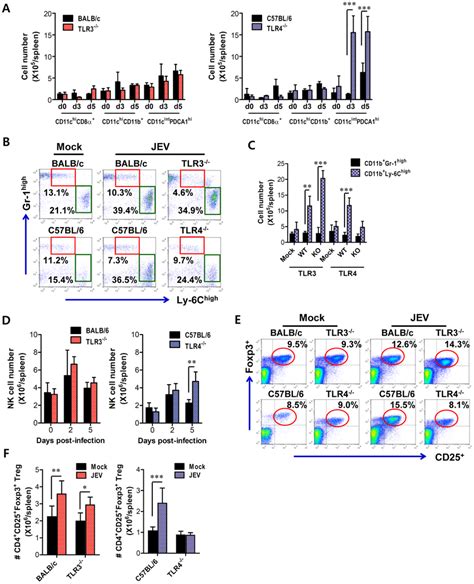 Alteration Of Myeloid Derived And Immune Cell Subsets In Lymphoid