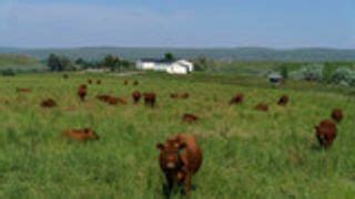 Montana Dept Of Agriculture Accepts Junior Ag Loan Applications