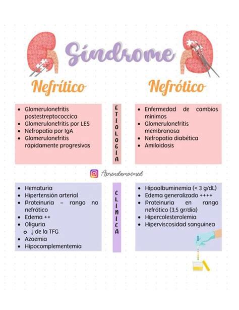 Síndrome Nefrítico y Nefrótico Notas de Medicina uDocz