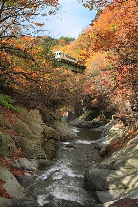 湯瀬渓谷の紅葉画像3枚目 ｜紅葉名所2024