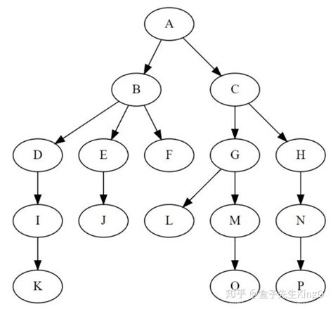 数据结构与算法——二叉树（基础知识and代码） 知乎