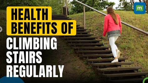 Advantages Of Regular Stair Climbing For Health Top Workout Youtube