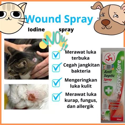 Ubat Luka Kucing Wound Spray Cat Antiseptic Solution Spray 30ml Lazada