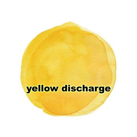 Yellow Discharge | causes, types, anatomy, images