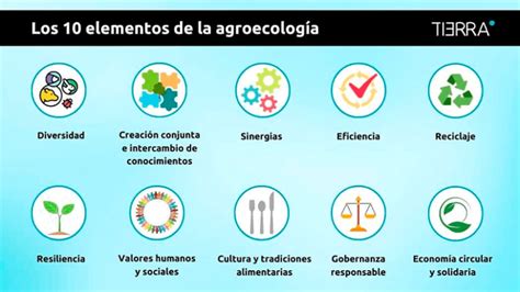 Cu Les Son Los Tipos De Sistemas Agroecol Gicos Sistemas