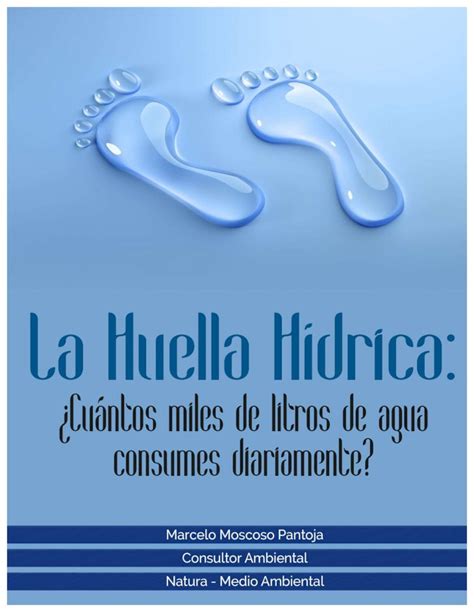 Pdf Tabla De Contenido Qu Es La Huella H Drica Y Por Qu Es Tan