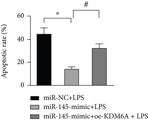 Mir 145 Protects Pc12 Cells From Lps Induced Cell Damage Through Kdm6a