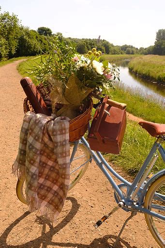 The Cycle Pretty Boutique Blooms Bicycles