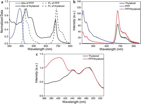 Spectral Characterization Of Pfp And Thylakoids A Normalized Uv Vis Download Scientific