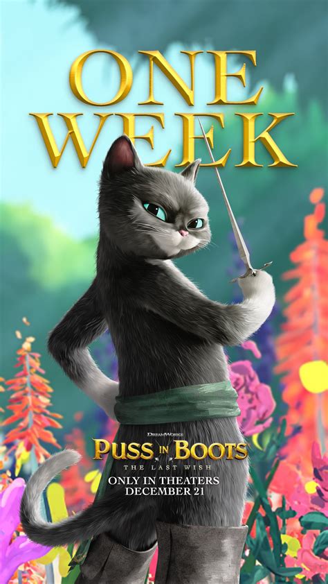 Antonio Banderas On Twitter One Week Pussinboots Thelastwish 😼⚔️ Dreamworks