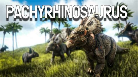 Ark Pachyrhinosaurus How To Tame Feed And Breed