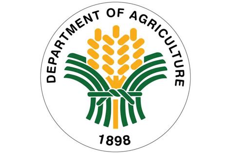 Palay Rice Prices To Stabilize As Main Harvest Starts Da Journal