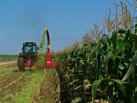 Pib Do Setor Agropecu Rio Brasileiro Deve Crescer Em Aponta Ipea