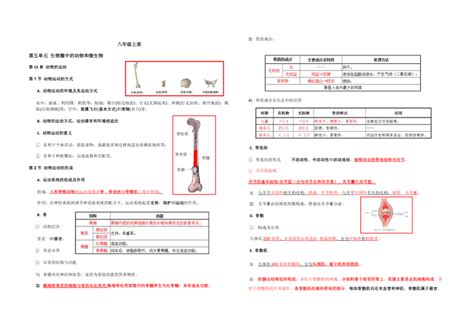 2022 2023学年北师大版生物八年级上册知识点复习 21世纪教育网