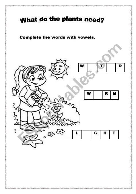 What Do Plants Need Esl Worksheet By Telmaa