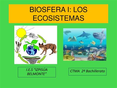 Ppt Biosfera I Los Ecosistemas Powerpoint Presentation Free Download Id2917379