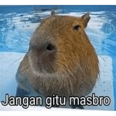 masbro