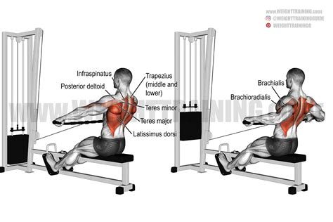 Close Grip T Bar Row