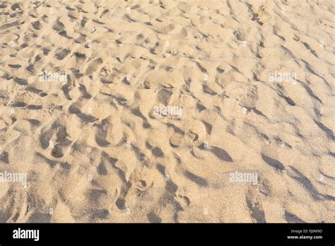 An Image Of Beach Sand Stock Photo Alamy