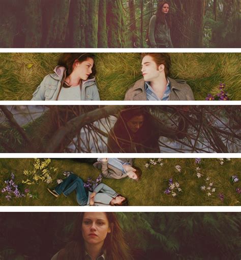 Twilight Twilight Movie Twilight Twilight Saga