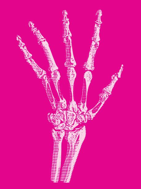 50 Reaching Skeleton Hand Stock Illustrations Royalty Free Vector