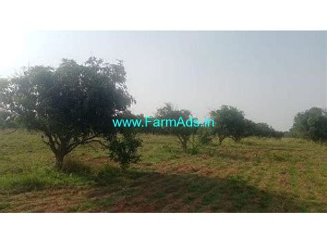 Acres Mango Plantation For Sale Near Chinthamani Chintamani