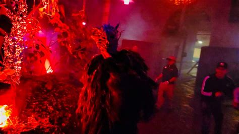 Review Haunted Forest At Halloween Horror Nights 2022 In Universal