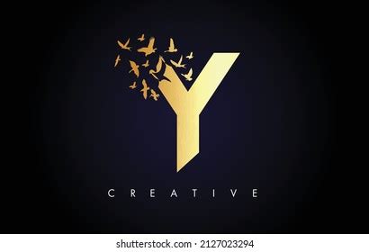 Letter Y Bird Logo Images Stock Photos Vectors Shutterstock