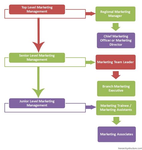 Marketing Management Hierarchy