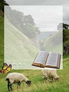 Ideas De Marcos Para Dedicar En Fotos De Biblias Im Genes