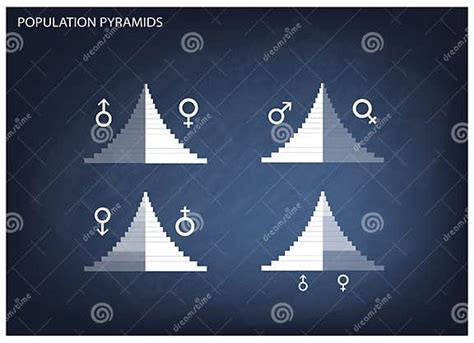 Detail Of Population Pyramids Graphs Depend On Age And Sex Stock Vector Illustration Of