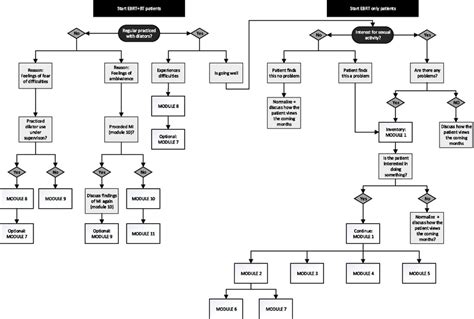 Decision Tree Intervention Modules Bt Brachytherapy Ebrt External Download Scientific