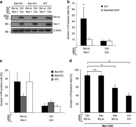 Bak Dependent Apoptosis Upon Inhibition Of Bcl Xl And Mcl In Murine