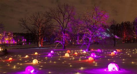 Morton Arboretum’s Magical “Illumination: Tree Lights” Walking ...