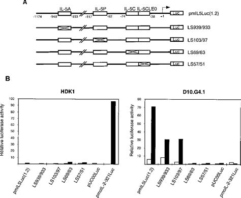 Figure From Characterization Of Cis Regulatory Elements And Nuclear