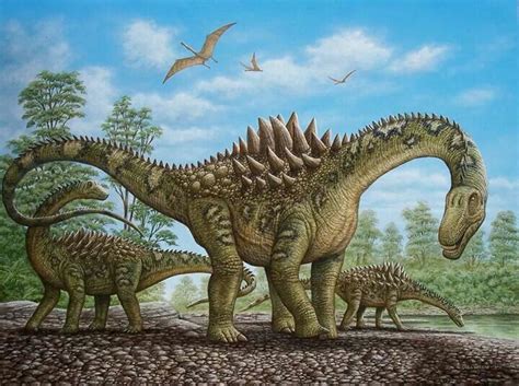 Augustinia Prehistoric Wildlife, Prehistoric Creatures, Reptiles ...