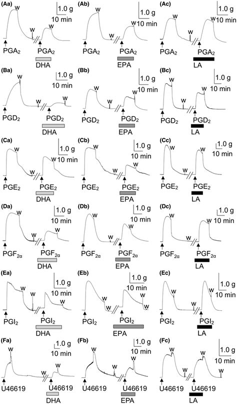 Representative Traces Showing The Effects Of Docosahexaenoic Acid Dha