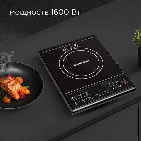 Электроплита индукционная REDMOND RIC-4601: купить в Москве, СПб ...