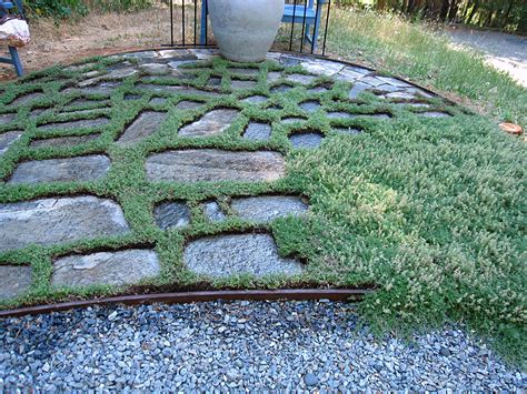 Createology Creativity In Nature