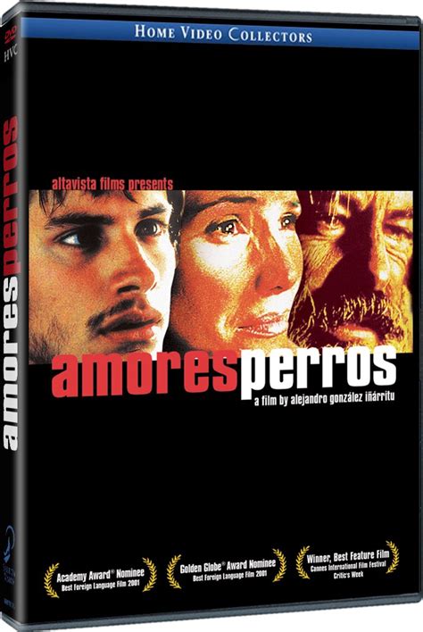 Amores Perros DVD Amazon es Emilio Echevarría Gael García Bernal