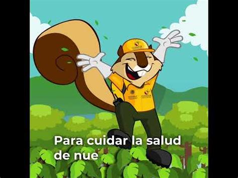 Savi Y Sanidad Forestal Youtube