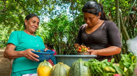 Instituciones P Blicas Conversan Sobre La Hoja De Ruta Para La