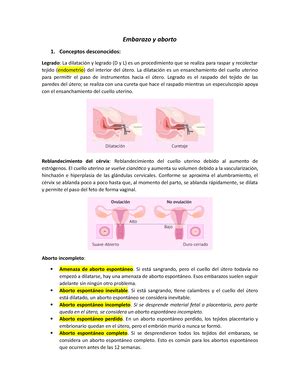 Control Prenatal Con Atenci N Centrada En La Paciente Gpc Control