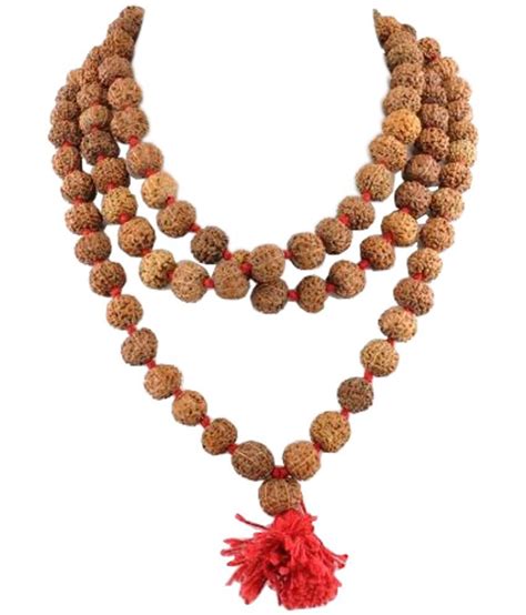 9 Mukhi Rudraksha Mala 100 Original 54 Beads Nine Faced Durga